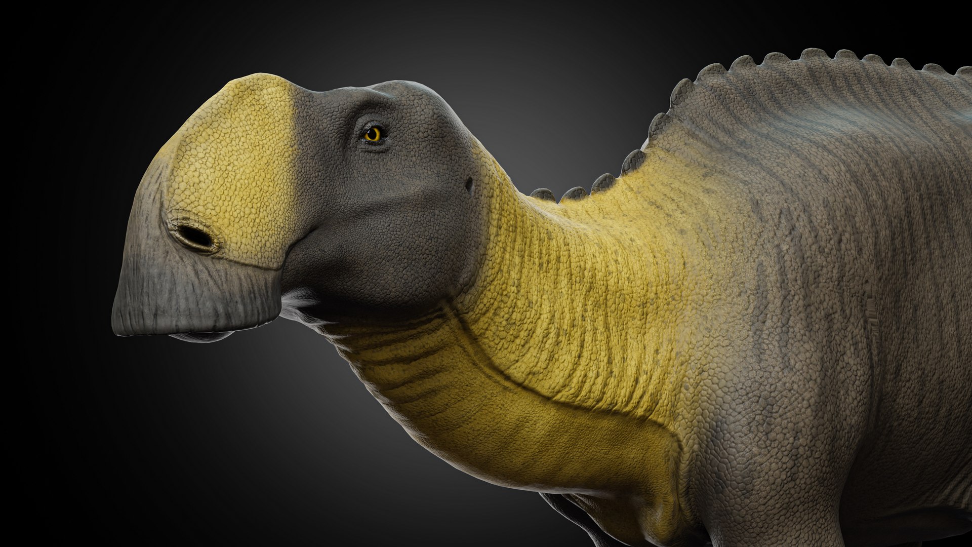 Gryposaurus Notabilis 3D Model TurboSquid 2132950