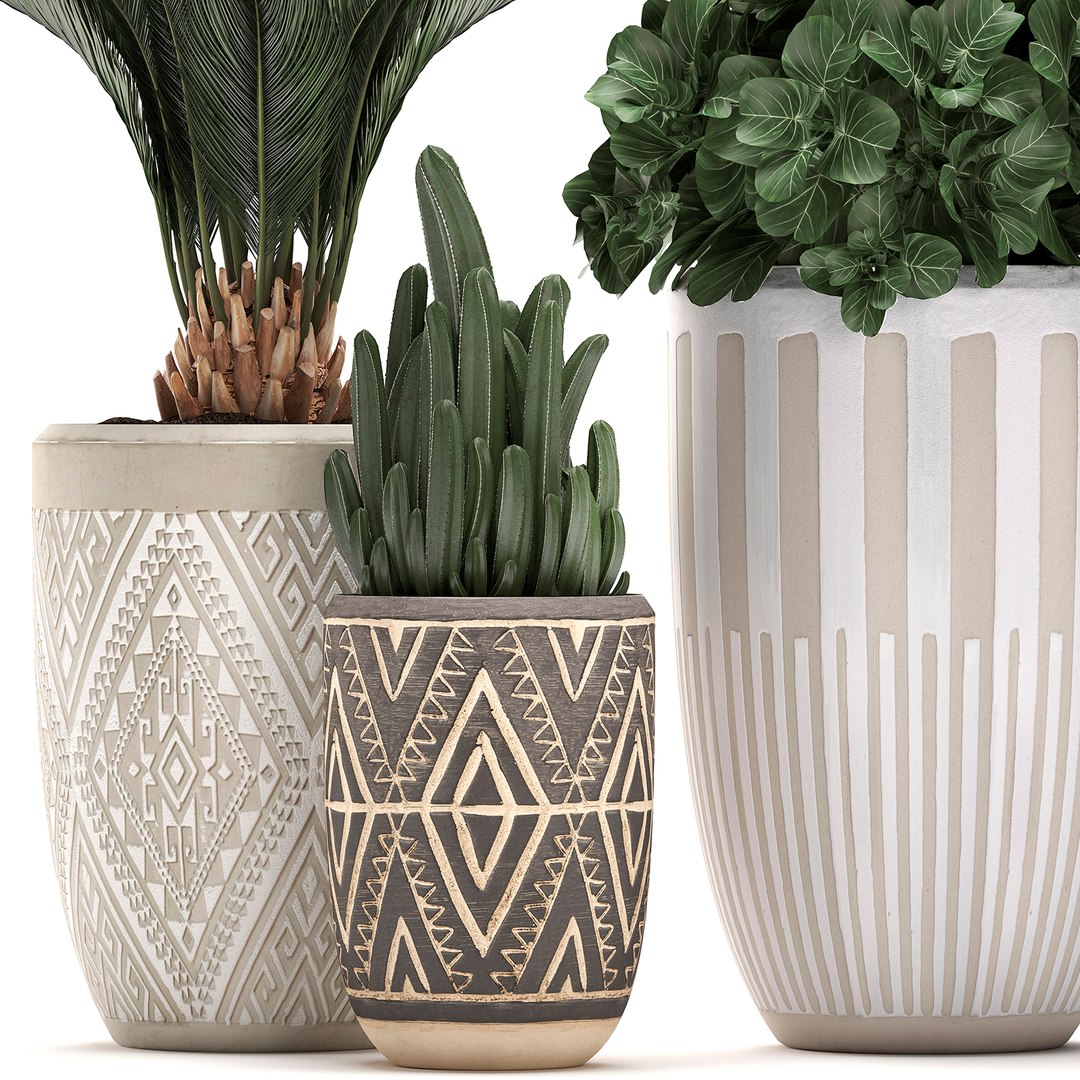 3D houseplants plants interior flower https://p.turbosquid.com/ts-thumb/Pt/JXLTky/9pEefU6i/plantset3003202002/jpg/1585733100/1920x1080/fit_q87/bbb2959fbf3a3f9ea51c0ac9a914e57df8938bcc/plantset3003202002.jpg