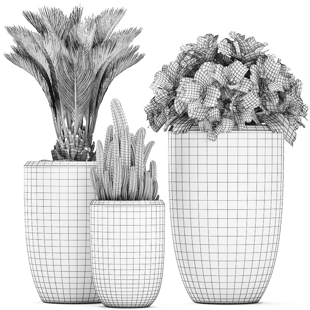 3D houseplants plants interior flower https://p.turbosquid.com/ts-thumb/Pt/JXLTky/DEagIU0j/plantset3003202009/jpg/1585733100/1920x1080/fit_q87/2ca501ec0989eed198794de480e6f79a01cefaed/plantset3003202009.jpg