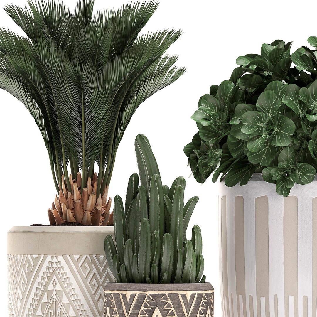 3D houseplants plants interior flower https://p.turbosquid.com/ts-thumb/Pt/JXLTky/EqWKCdGV/plantset3003202001/jpg/1585733100/1920x1080/fit_q87/6499b98f6dc6b9d63d9d7f763e377843420b715d/plantset3003202001.jpg
