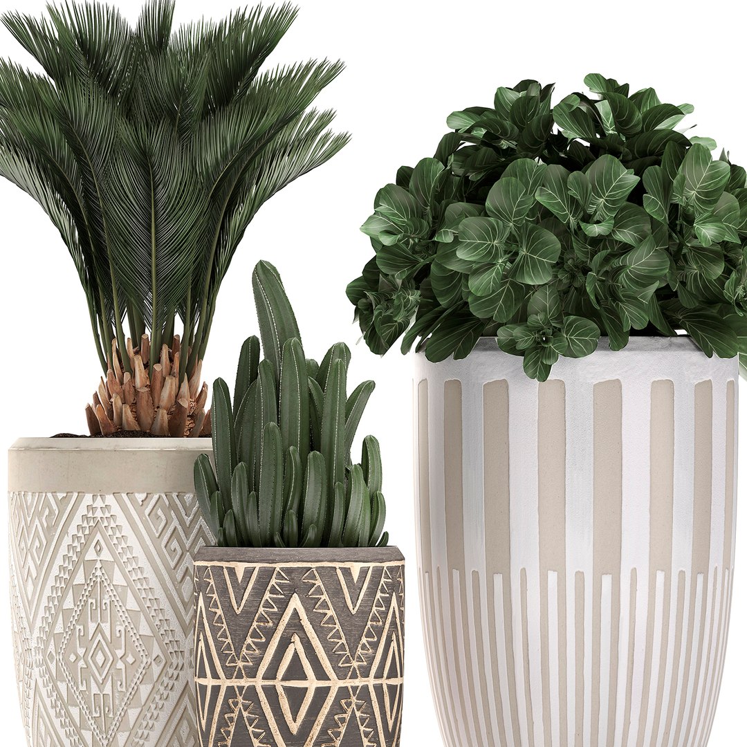 3D houseplants plants interior flower https://p.turbosquid.com/ts-thumb/Pt/JXLTky/Pp3NF87Z/plantset3003202003/jpg/1585733100/1920x1080/fit_q87/8cb67b19cbd0bfc03f179ec6610f04cdd8e7690e/plantset3003202003.jpg