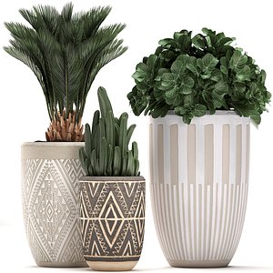 3D houseplants plants interior flower