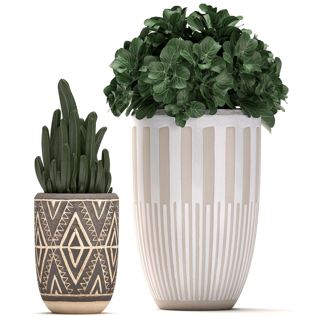 3D houseplants plants interior flower https://p.turbosquid.com/ts-thumb/Pt/JXLTky/ffzxaZjz/plantset3003202006/jpg/1585733100/1920x1080/fit_q87/e2be0ca7e7537d3c7a3b9e275594663ead0d2e0f/plantset3003202006.jpg