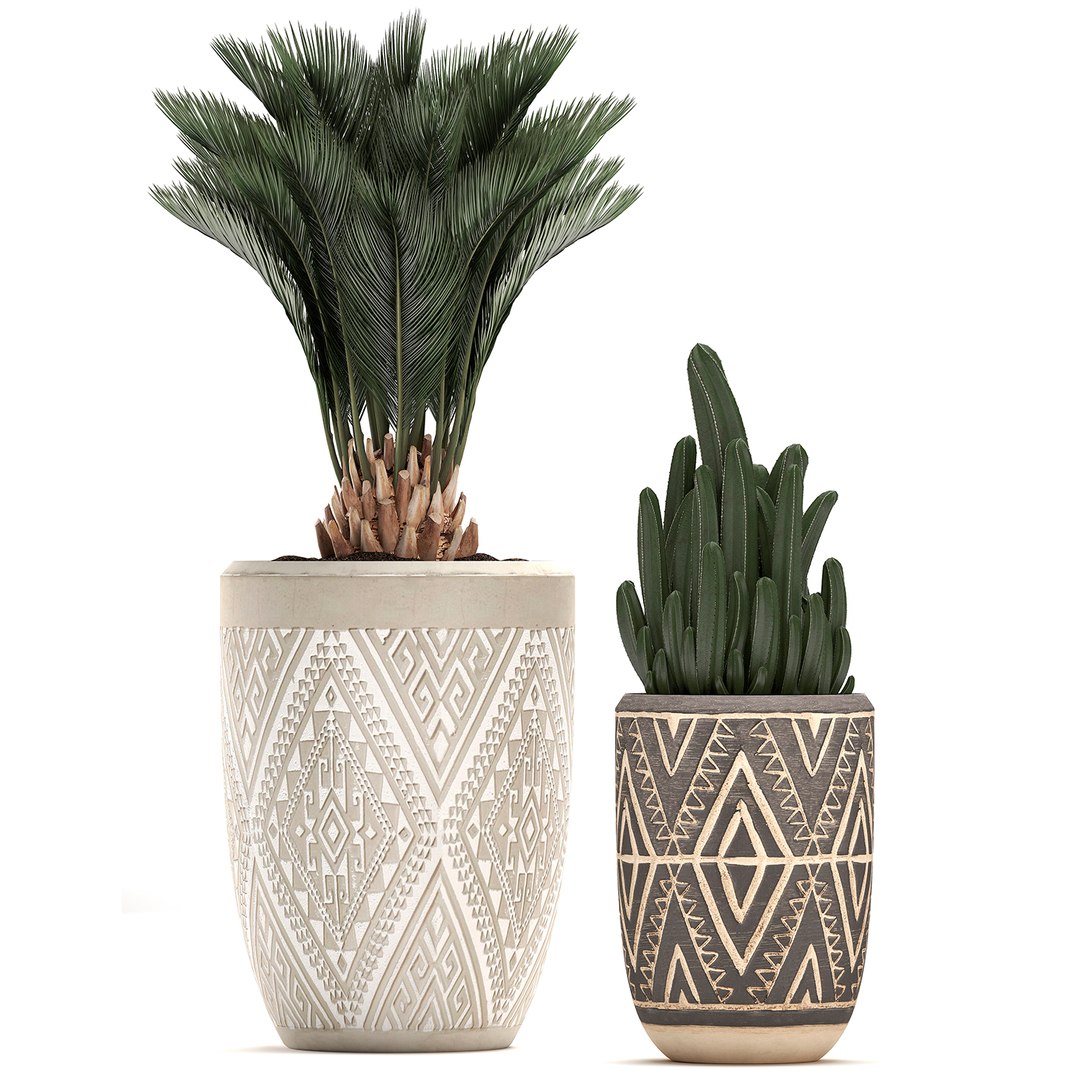 3D houseplants plants interior flower https://p.turbosquid.com/ts-thumb/Pt/JXLTky/rBsbfioK/plantset3003202005/jpg/1585733100/1920x1080/fit_q87/163310a65ec92a318f07c237ebb4a3d910dc494e/plantset3003202005.jpg