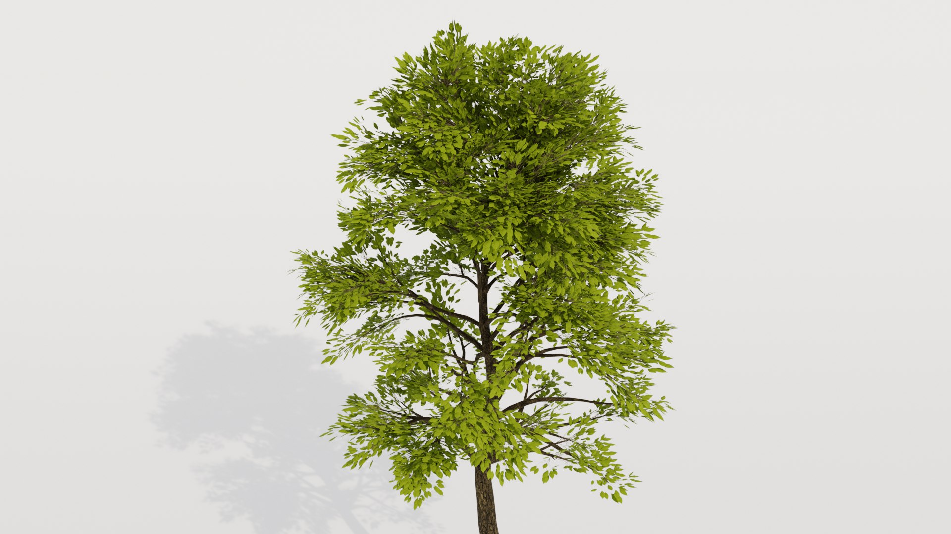 Tree realistic 3D model - TurboSquid 1670491