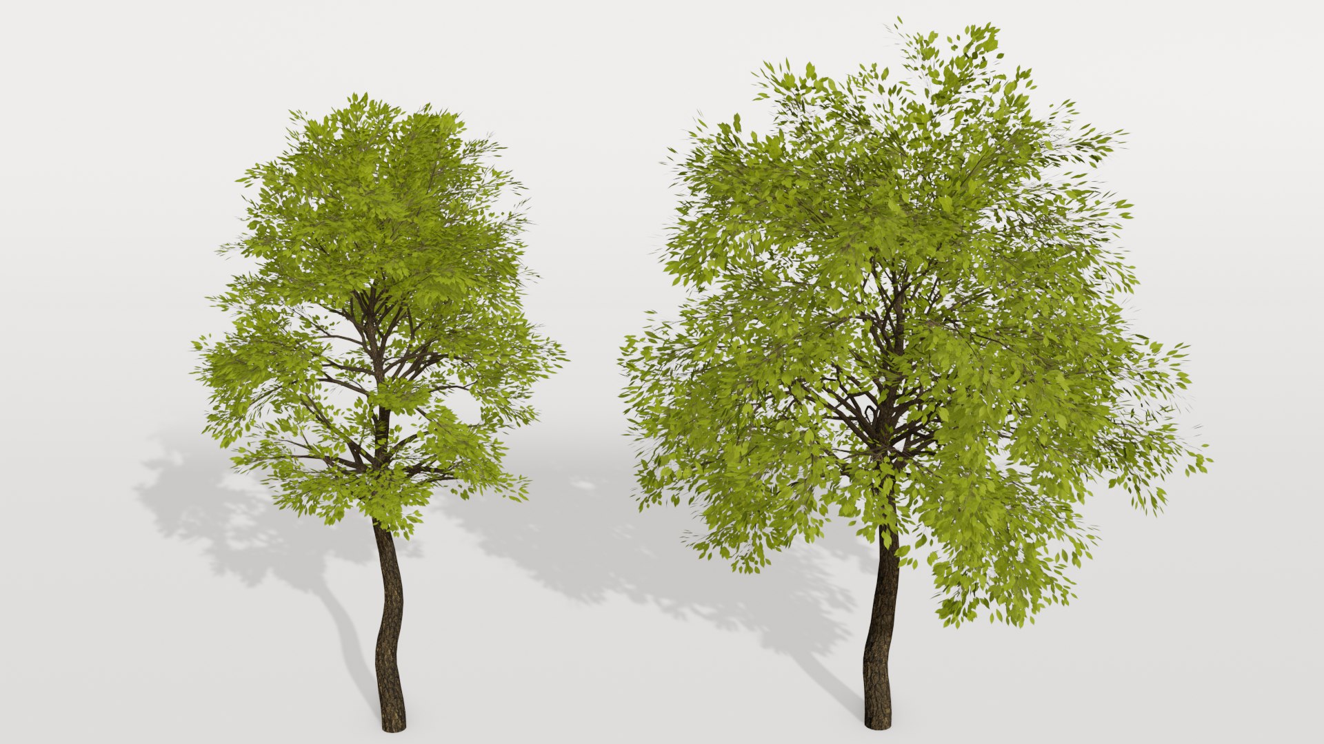 Tree realistic 3D model - TurboSquid 1670491