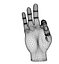 Realistic Hand model pose gesture 2