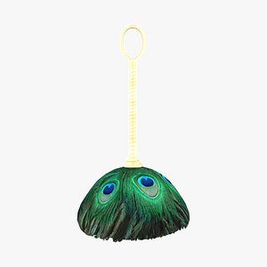 peacock feather 3D