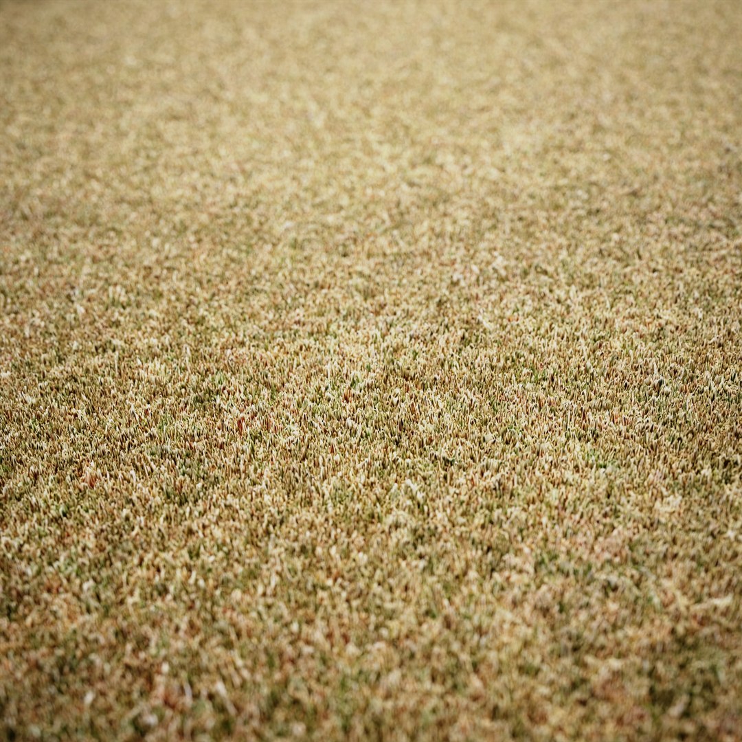 Scanned Grass Materials 2 Materials 3D https://p.turbosquid.com/ts-thumb/Pt/rwzXfa/5S/up5/jpg/1655525738/1920x1080/fit_q87/aeaa6da35f9c5692a534e0e46ca81606d0e48fca/up5.jpg