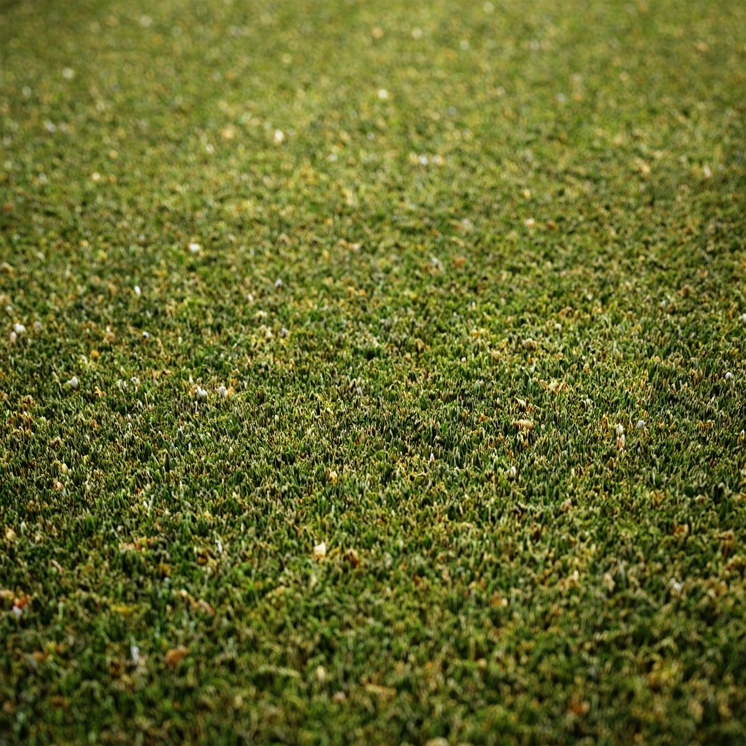 Scanned Grass Materials 2 Materials 3D https://p.turbosquid.com/ts-thumb/Pt/rwzXfa/Wo/up4/jpg/1655525692/1920x1080/fit_q87/8c612d5e62f3d4feb9ff47aa2f0fe706f46fba80/up4.jpg