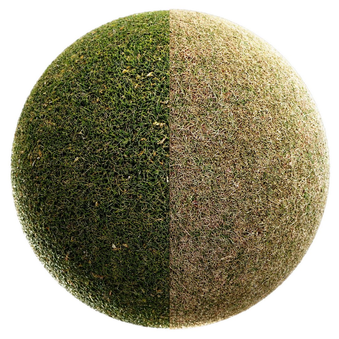 Scanned Grass Materials 2 Materials 3D https://p.turbosquid.com/ts-thumb/Pt/rwzXfa/fF/up1re/jpg/1655525808/1920x1080/fit_q87/b673cc92eda90c8fffa487d5ac3d7ef73b55f55b/up1re.jpg