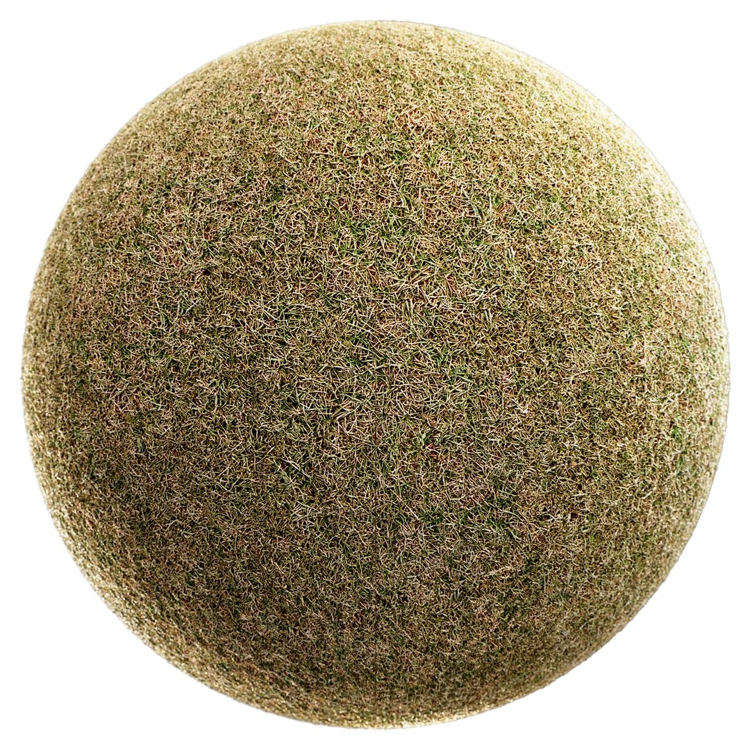 Scanned Grass Materials 2 Materials 3D https://p.turbosquid.com/ts-thumb/Pt/rwzXfa/l2/up3/jpg/1655525700/1920x1080/fit_q87/ddc14a9f378036843c538b60cd5ce87148e60777/up3.jpg
