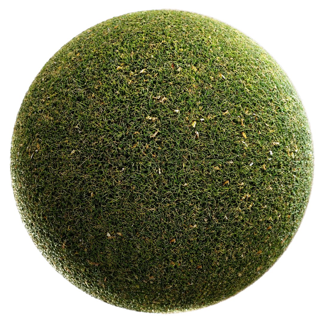 Scanned Grass Materials 2 Materials 3D https://p.turbosquid.com/ts-thumb/Pt/rwzXfa/x8/up2/jpg/1655525661/1920x1080/fit_q87/a321bf937ba7755b3fe737409edafb80909a3d6f/up2.jpg