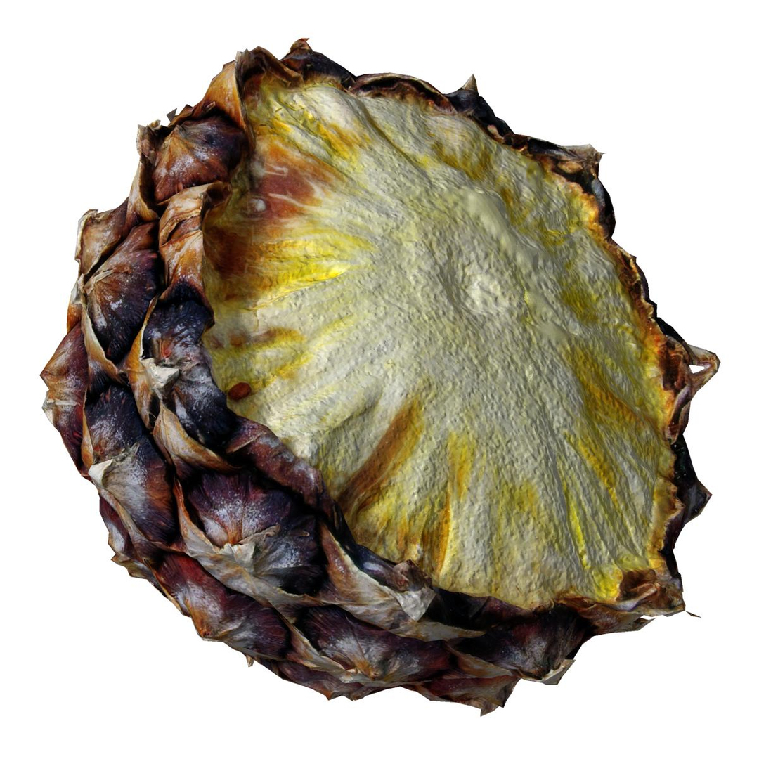photorealistic fruit food pineapple 3ds https://p.turbosquid.com/ts-thumb/Pt/tLeHG5/6BUL9grz/v/jpg/1363530570/1920x1080/turn_fit_q99/3d1f5a84d07840e406fc2a213f1a92082474a154/v-1.jpg