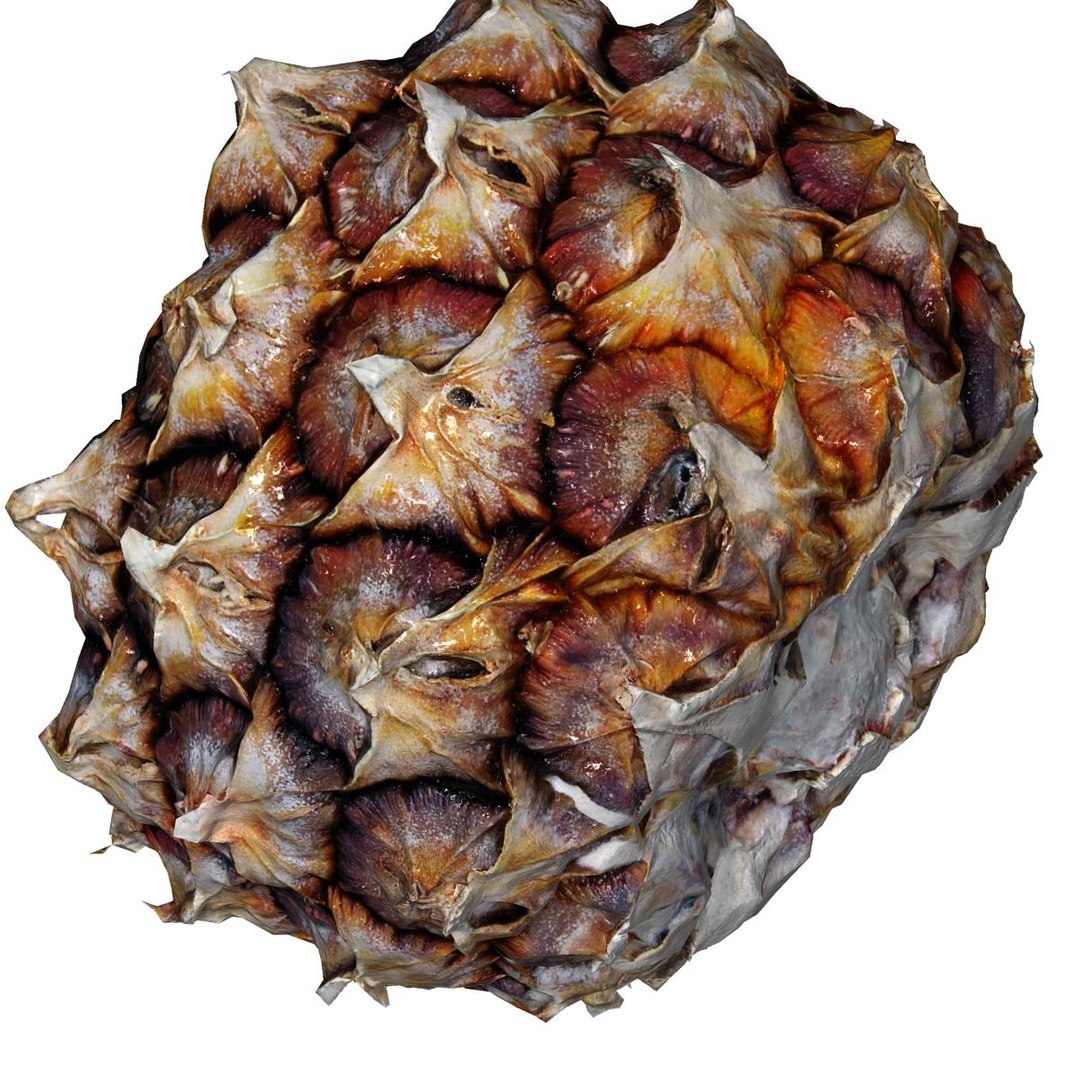 photorealistic fruit food pineapple 3ds https://p.turbosquid.com/ts-thumb/Pt/tLeHG5/qUUdMajZ/v0040/jpg/1363530509/1920x1080/fit_q87/873ec1c295de522bedc3c9e08951e7ffbe35e06b/v0040.jpg
