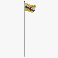 Flag On Pole Brunei
