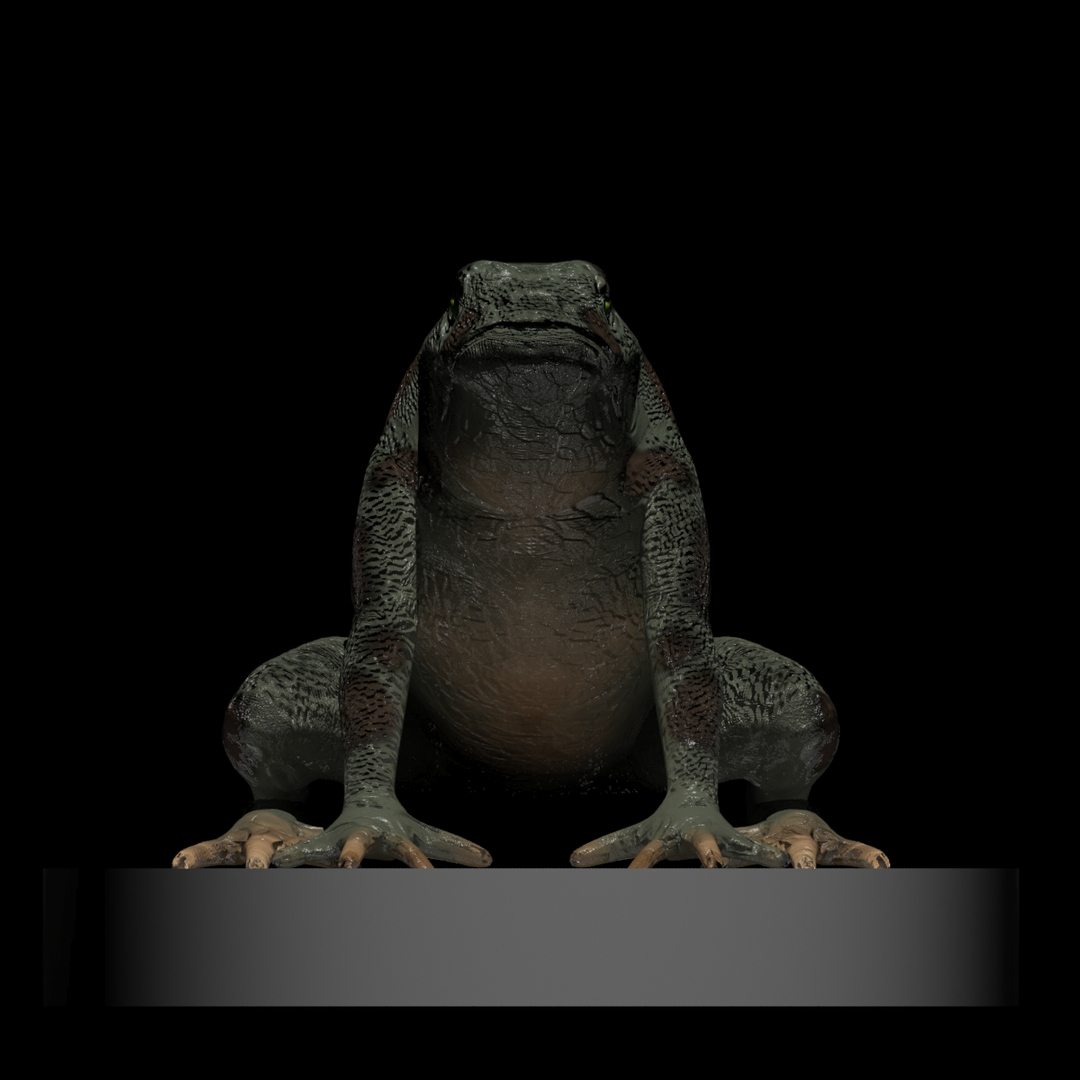 3d toad https://p.turbosquid.com/ts-thumb/Pu/7YMT0k/10HcpOMc/t/jpg/1347921170/1920x1080/turn_fit_q99/2f0096fdbf3825f82bbc03d7aad23bd30ef3bf7c/t-1.jpg