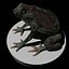 Toad