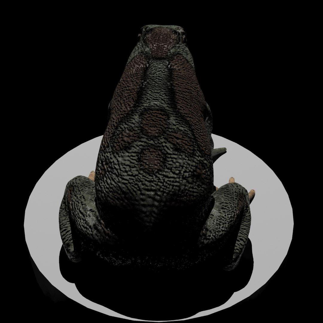 3d toad https://p.turbosquid.com/ts-thumb/Pu/7YMT0k/UxkTAgS5/4/jpg/1347921870/1920x1080/fit_q87/c7ae3b8c8f23b065ac3f7a203a03f7981271070c/4.jpg