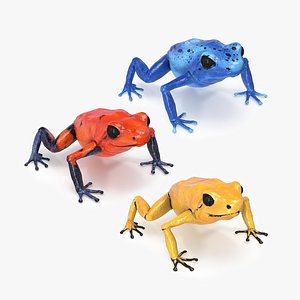 Poison Dart Frog Collection 3D
