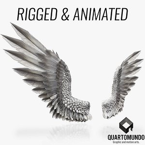 Pair of Bird Wing [C4D]