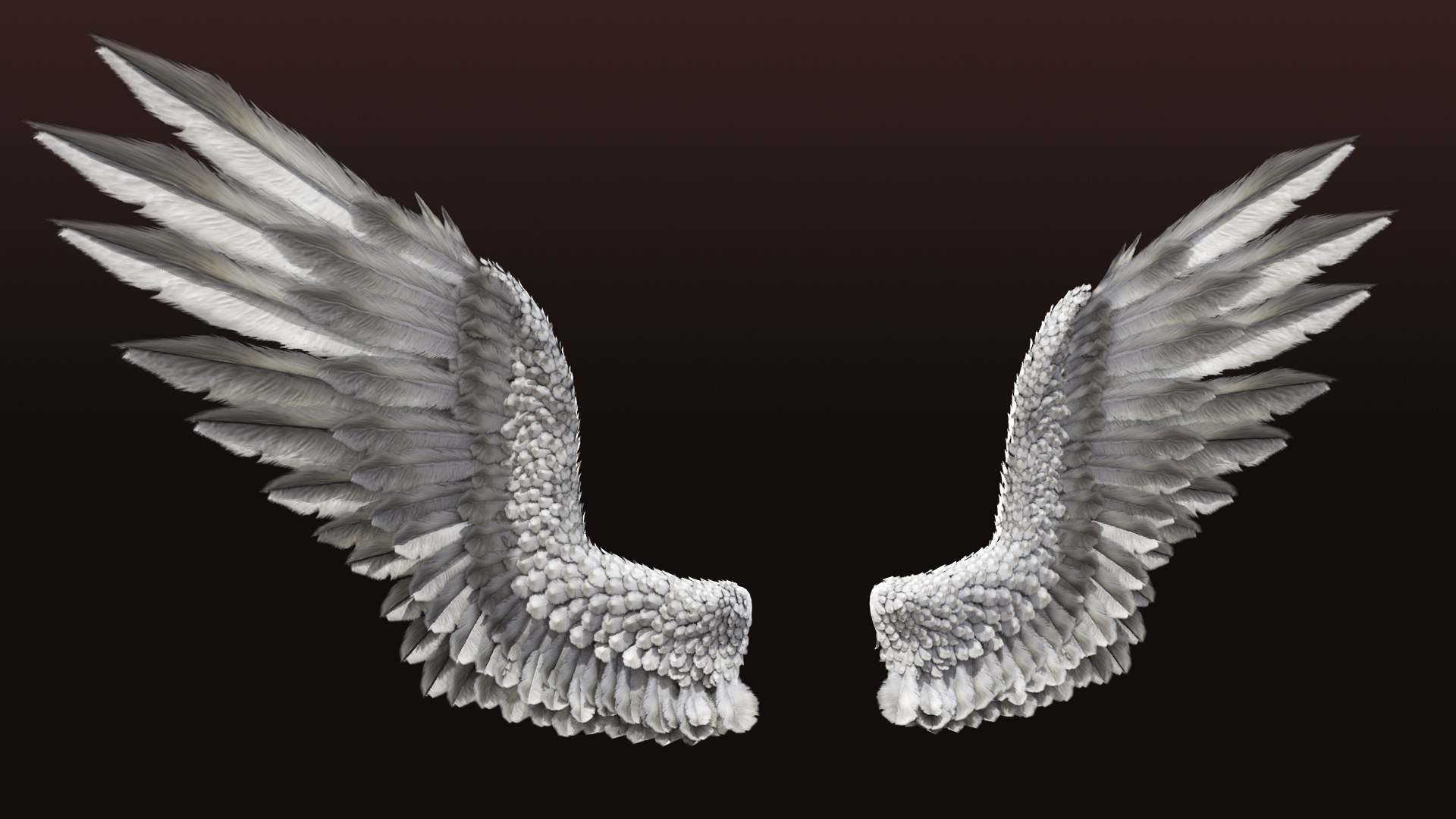 3D Bird Angel Wings Model - TurboSquid 1192727