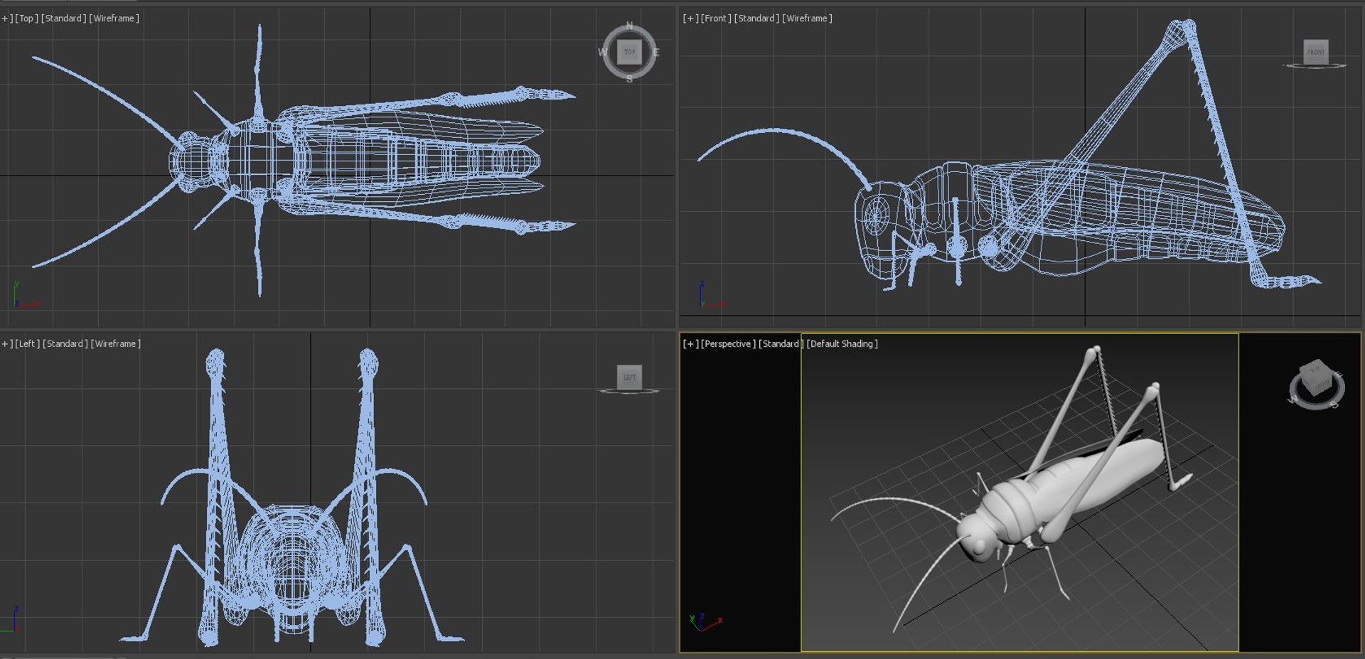 Cricket Model - TurboSquid 1393661