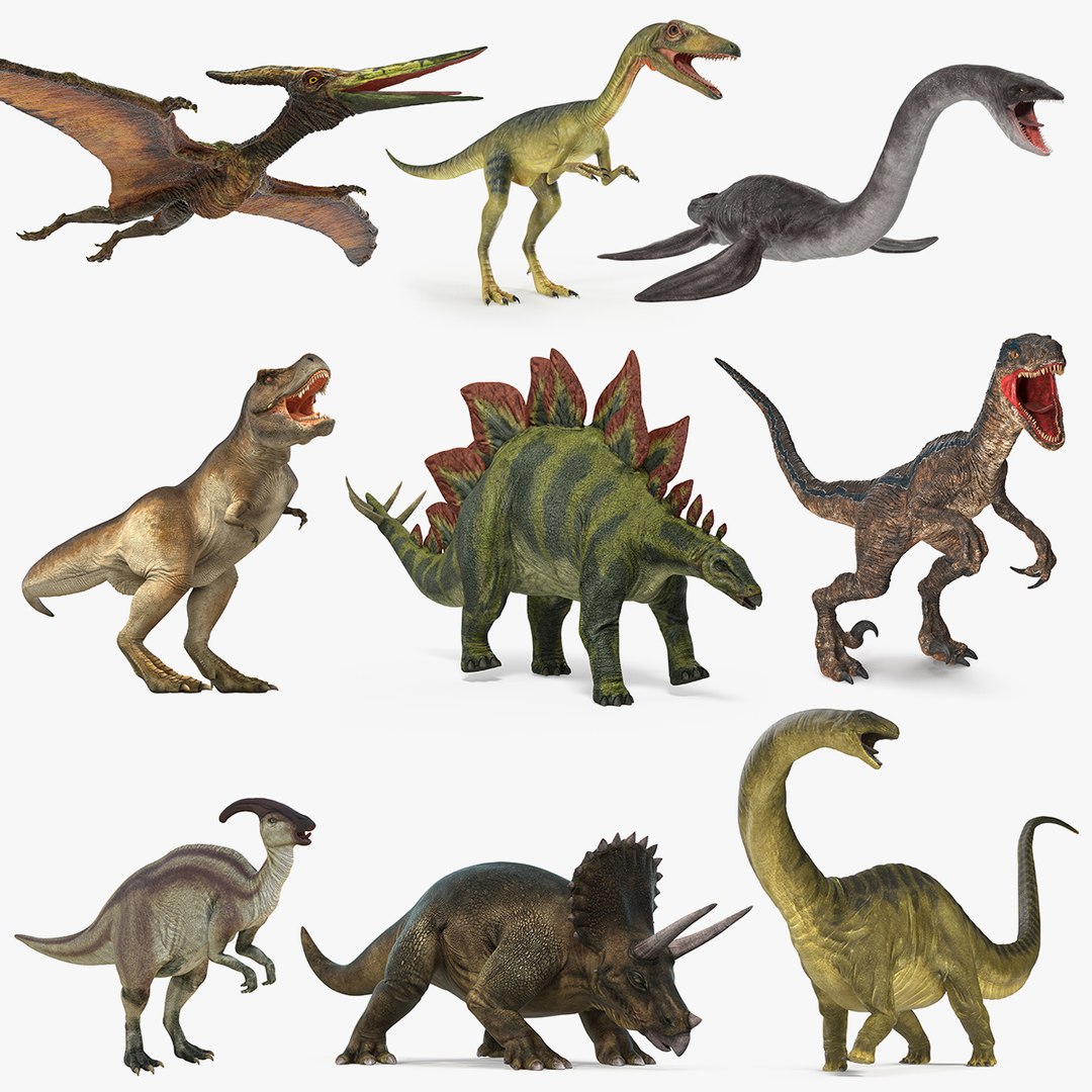 Rigged Dinosaurs Collection 4 3D model preview