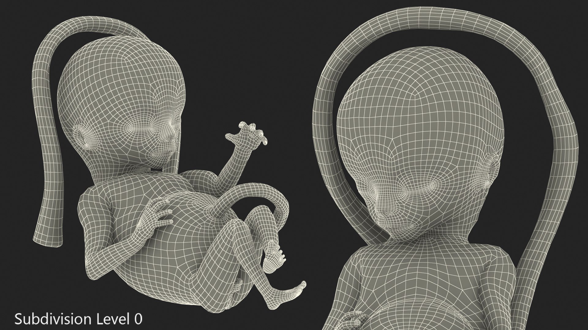 human fetus 16 weeks 3D model https://p.turbosquid.com/ts-thumb/Pu/biQXxc/LquSHJbm/humanfetus16weeksriggedmb3dmodel019/jpg/1607339280/1920x1080/fit_q87/0a979e56bdcd9f5bc813522c020e7db8f0bcbb89/humanfetus16weeksriggedmb3dmodel019.jpg