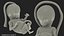 Human Fetus 16 Weeks Rigged for Maya