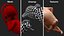 Human Fetus 16 Weeks Rigged for Maya