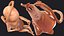 Human Fetus 16 Weeks Rigged for Maya