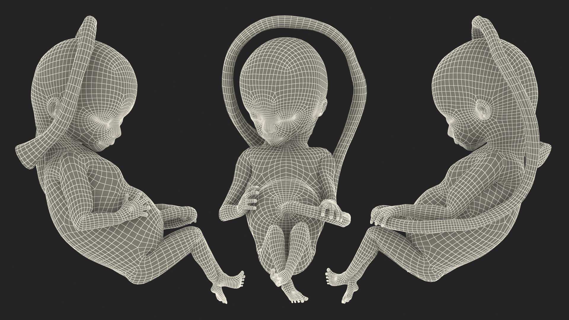 human fetus 16 weeks 3D model https://p.turbosquid.com/ts-thumb/Pu/biQXxc/wDdQIaZd/humanfetus16weeksriggedmb3dmodel026/jpg/1607339356/1920x1080/fit_q87/fac1777b7d84822c762617c64f97f88e7ee2676f/humanfetus16weeksriggedmb3dmodel026.jpg