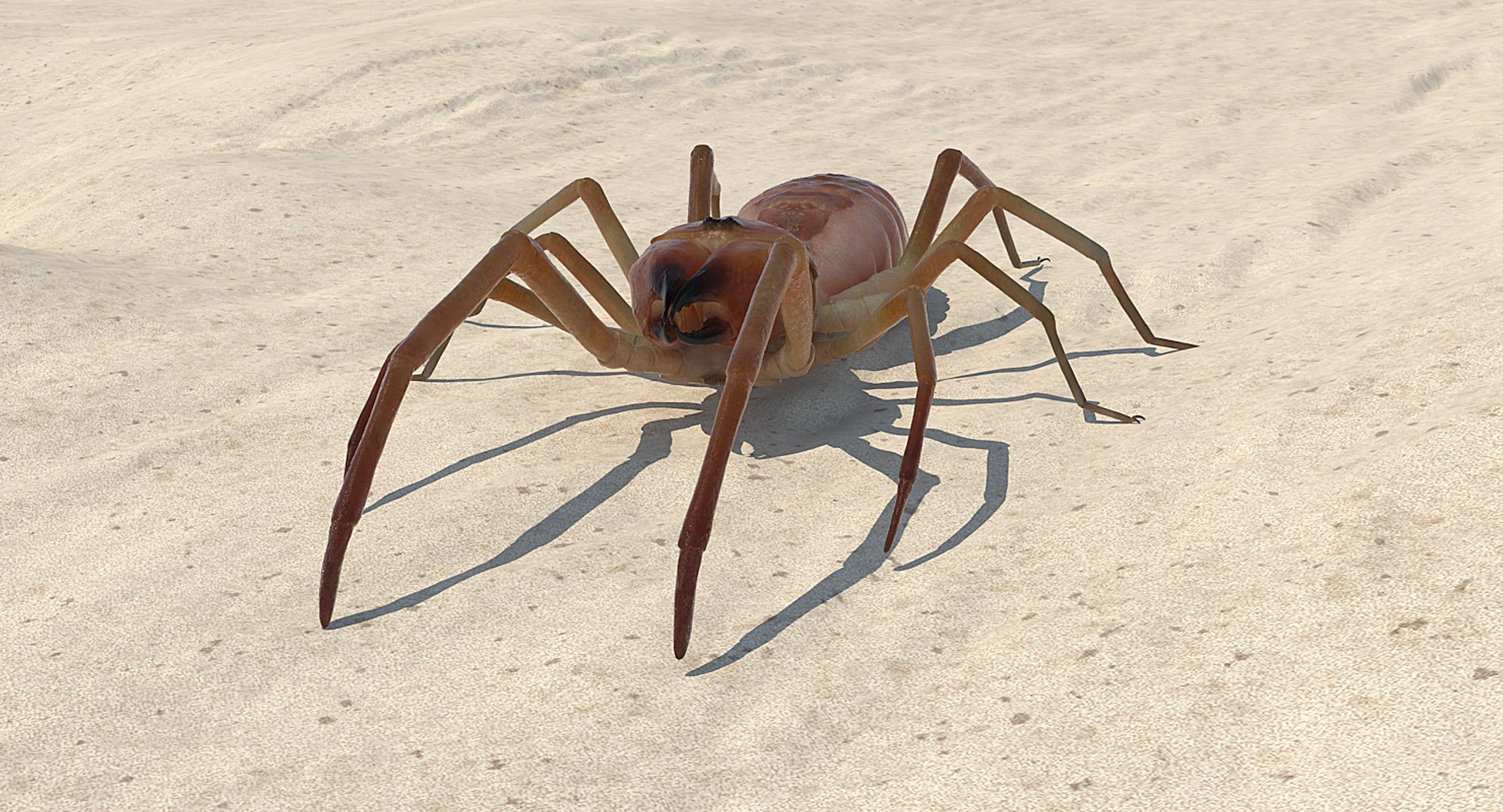 3D insects big 2 rigged model https://p.turbosquid.com/ts-thumb/Pu/dSCHdK/2YznbapY/insectsbigcollection2mb3dmodel036/jpg/1536592471/1920x1080/fit_q87/e94fb7327e7b64ec1d9bbbc23efc3bb37c8a1ff2/insectsbigcollection2mb3dmodel036.jpg