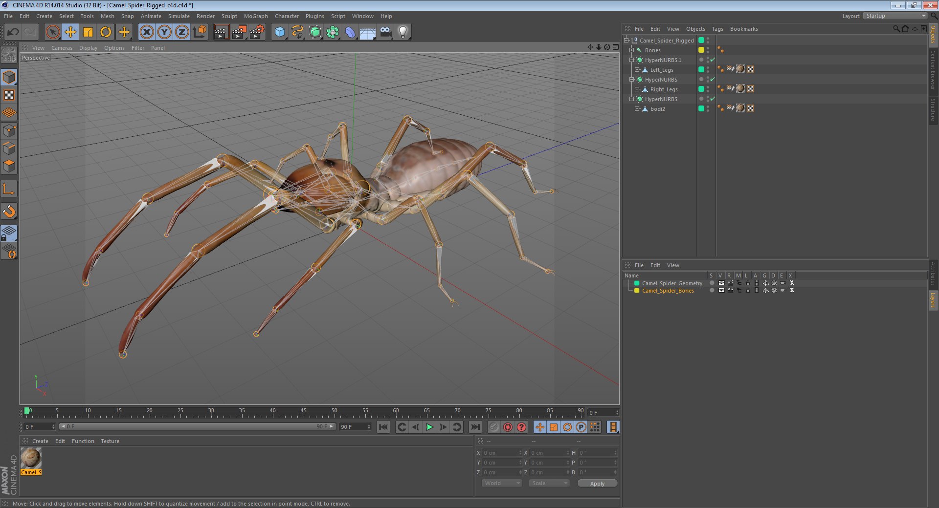 3D insects big 2 rigged model https://p.turbosquid.com/ts-thumb/Pu/dSCHdK/66YWIWtd/camelspiderriggedcinema4d3dmodel23/jpg/1583561438/1920x1080/fit_q87/f4fbb163f5d47e7ac3065d551af6b136e6f22284/camelspiderriggedcinema4d3dmodel23.jpg