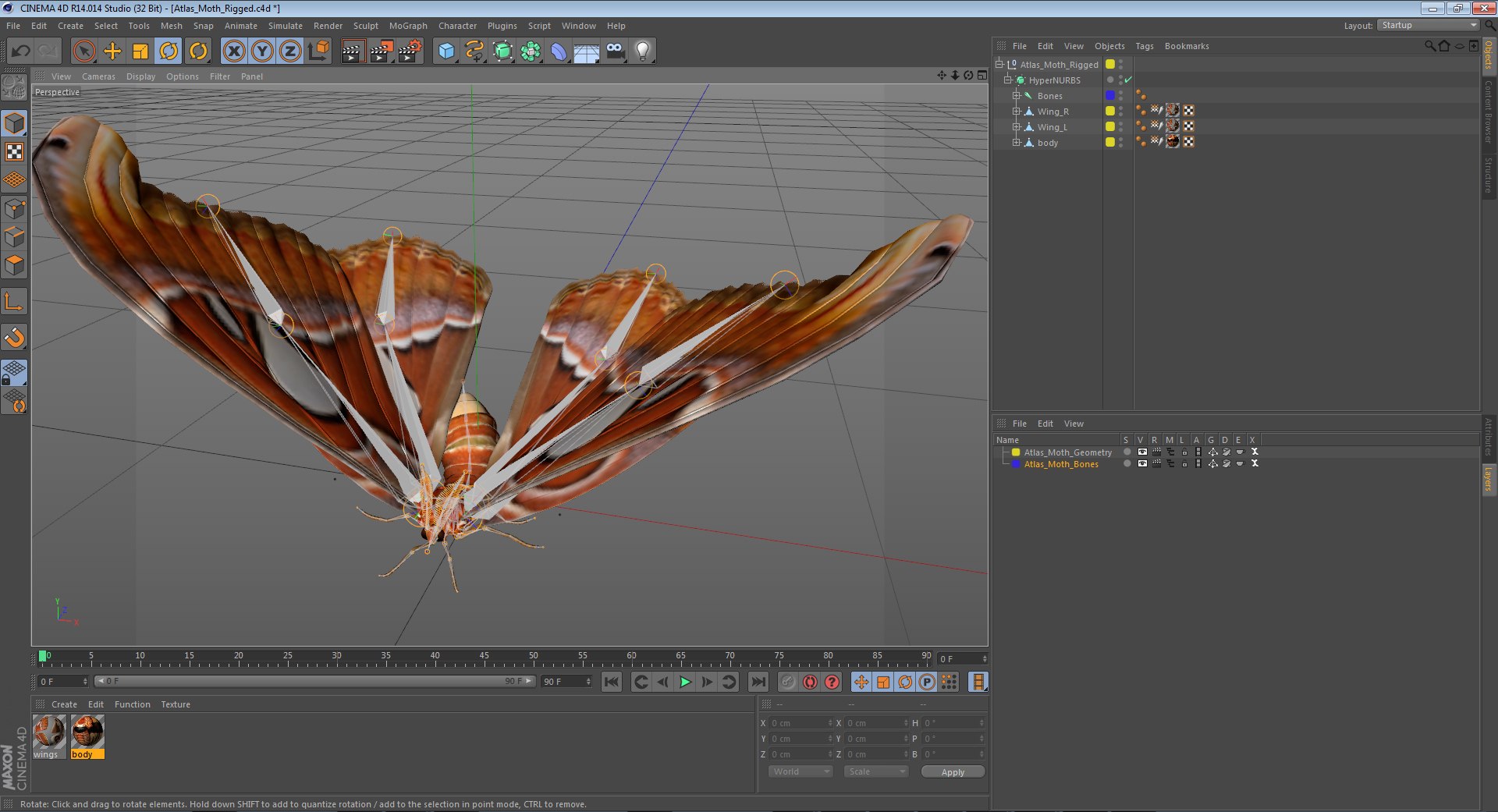 3D insects big 2 rigged model https://p.turbosquid.com/ts-thumb/Pu/dSCHdK/7ZKhBOn6/atlasmothriggedc4d3dmodel19/jpg/1583561437/1920x1080/fit_q87/698841eb074bb6b69b5930d835a65e81ba8d52a4/atlasmothriggedc4d3dmodel19.jpg