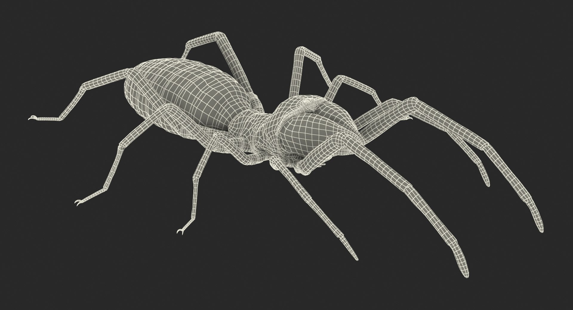 3D insects big 2 rigged model https://p.turbosquid.com/ts-thumb/Pu/dSCHdK/A2BtoWHK/insectsbigcollection2mb3dmodel151/jpg/1536592477/1920x1080/fit_q87/7682855e2e9e8f6f06c207b0eefd3ae4e020e5be/insectsbigcollection2mb3dmodel151.jpg