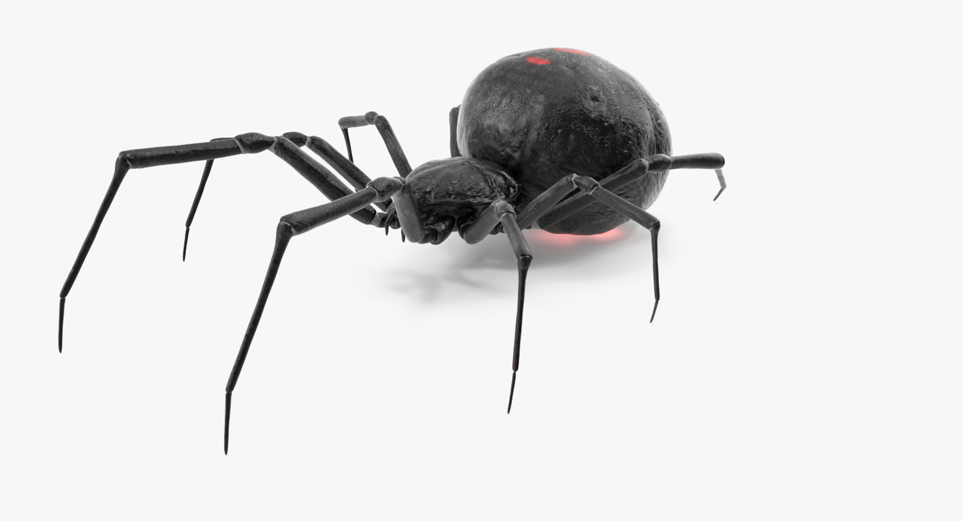 3D insects big 2 rigged model https://p.turbosquid.com/ts-thumb/Pu/dSCHdK/Dw3gMUAo/insects_big_collection_2_389/jpg/1536589257/1920x1080/turn_fit_q99/28834517f6ab758fa5fdc0e3c1ddfc19d337ad4b/insects_big_collection_2_389-1.jpg