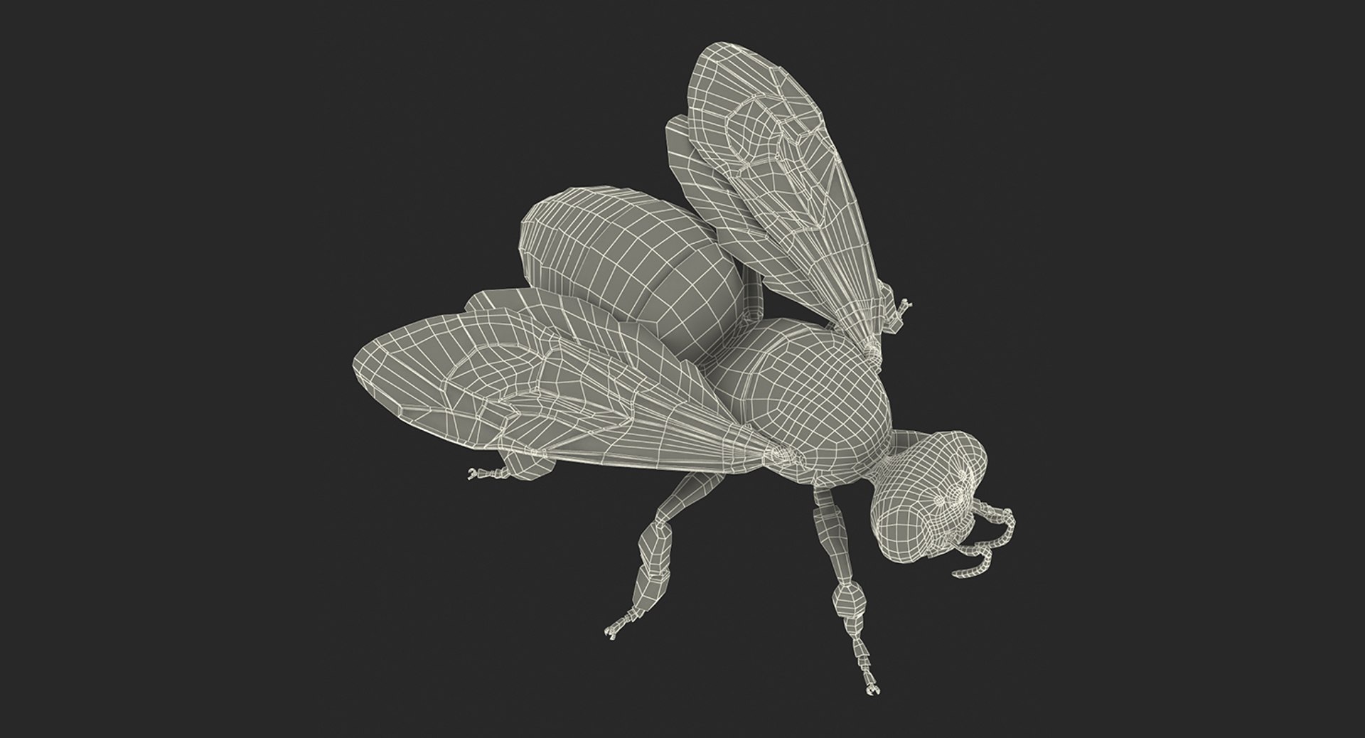 3D insects big 2 rigged model https://p.turbosquid.com/ts-thumb/Pu/dSCHdK/FVnEyV3e/insectsbigcollection2mb3dmodel169/jpg/1536592478/1920x1080/fit_q87/0cbcaa6b597bd228146d907e74e4a0fb7450ea80/insectsbigcollection2mb3dmodel169.jpg