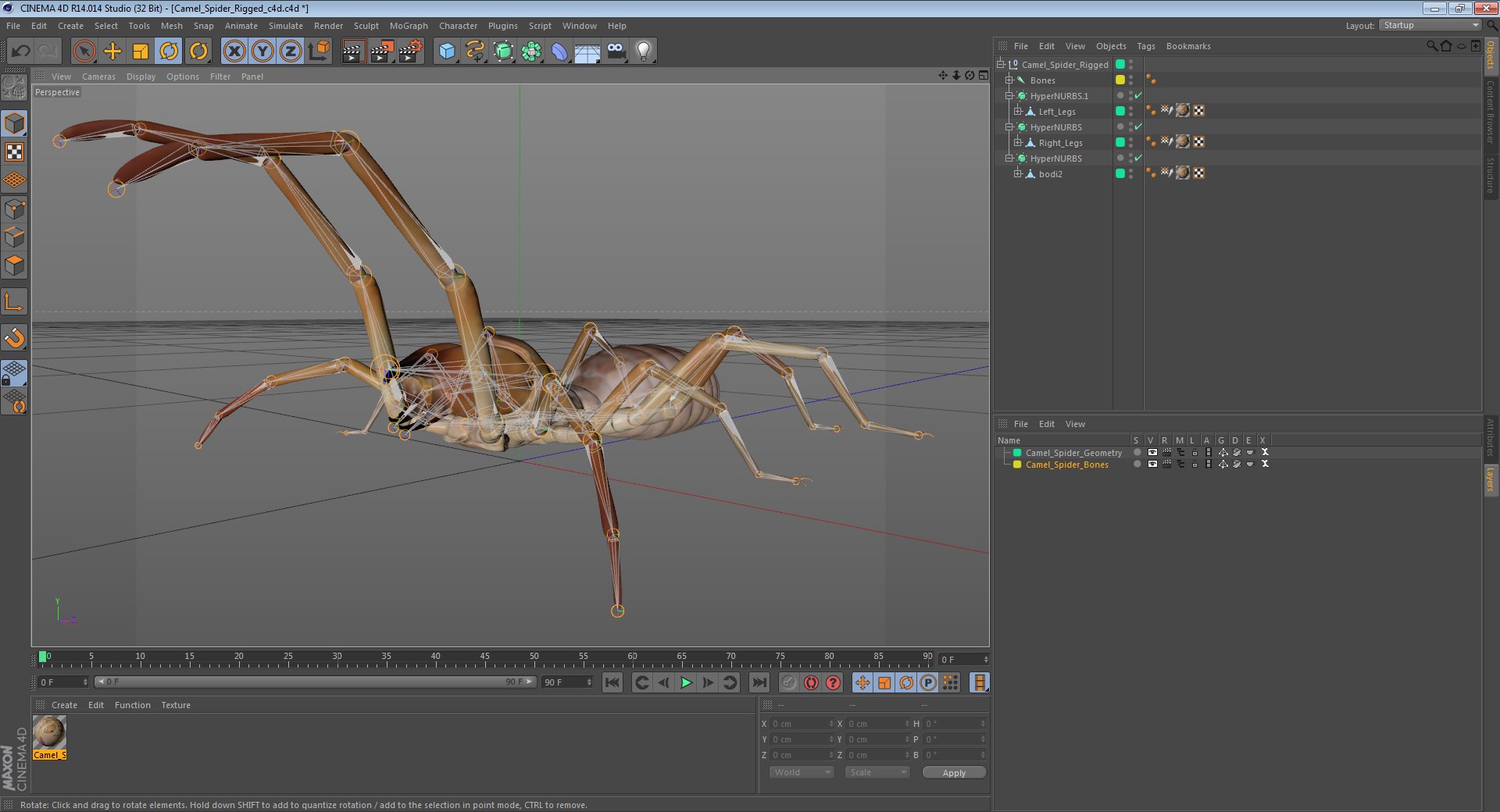 3D insects big 2 rigged model https://p.turbosquid.com/ts-thumb/Pu/dSCHdK/MlqLWgNi/camelspiderriggedcinema4d3dmodel24/jpg/1583561438/1920x1080/fit_q87/26ecbbafc940c42cea89ef14649dc2f7e73ecb1d/camelspiderriggedcinema4d3dmodel24.jpg