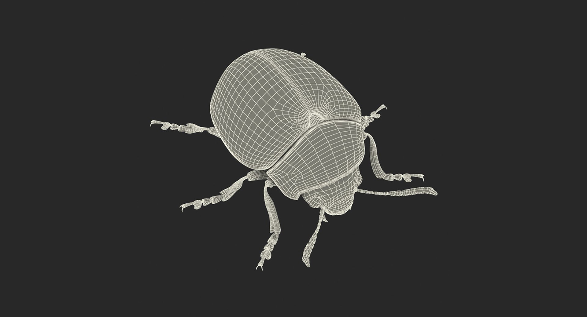 3D insects big 2 rigged model https://p.turbosquid.com/ts-thumb/Pu/dSCHdK/V3nEEg3u/insectsbigcollection2mb3dmodel171/jpg/1536592478/1920x1080/fit_q87/27f153cc9ea5eef6a44081f44d7cfbfb64488790/insectsbigcollection2mb3dmodel171.jpg