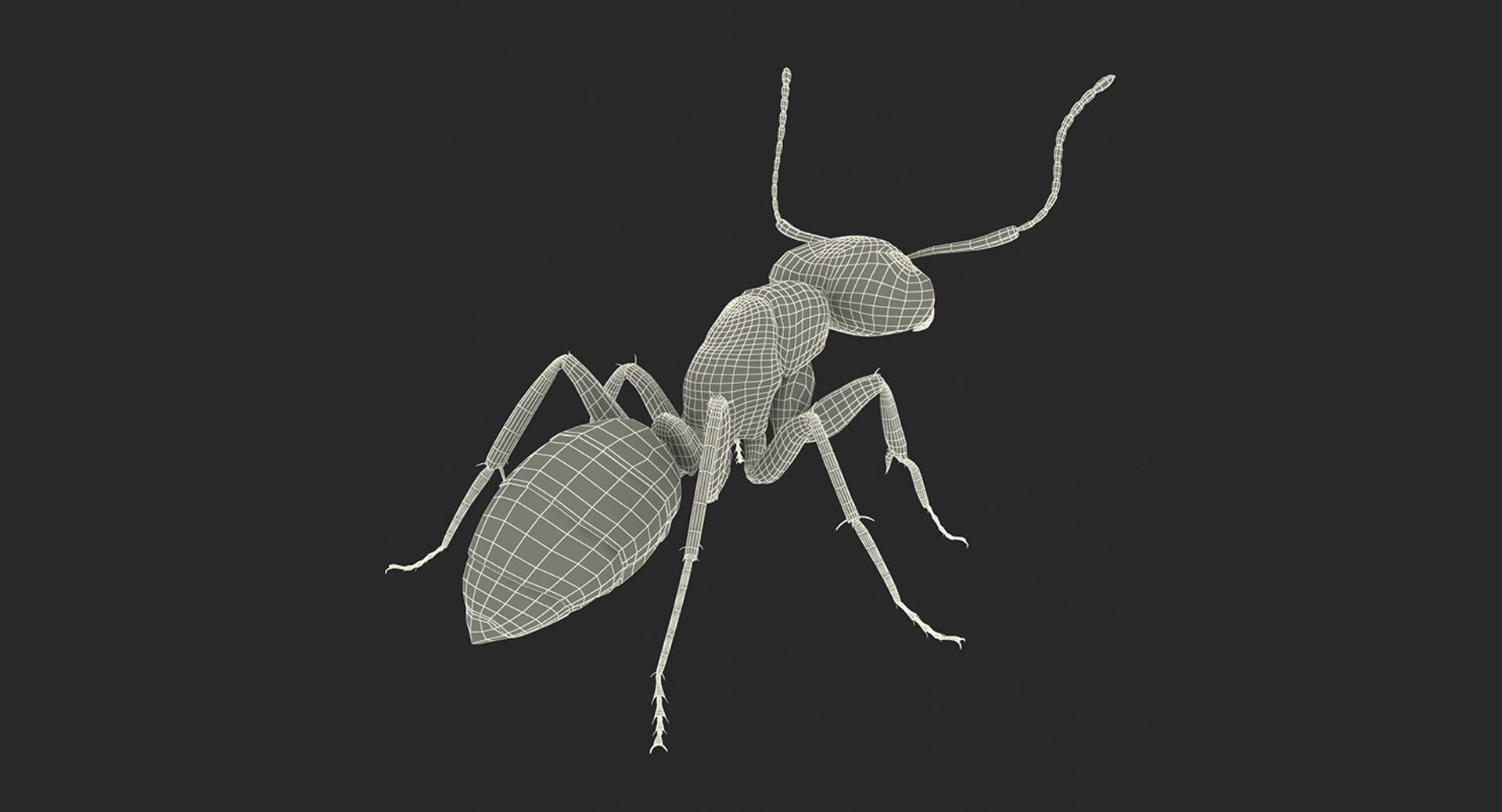 3D insects big 2 rigged model https://p.turbosquid.com/ts-thumb/Pu/dSCHdK/XFxlc4sy/insectsbigcollection2mb3dmodel173/jpg/1536592478/1920x1080/fit_q87/c17c0917537d324777c34c8cff14b7614a4e18a0/insectsbigcollection2mb3dmodel173.jpg