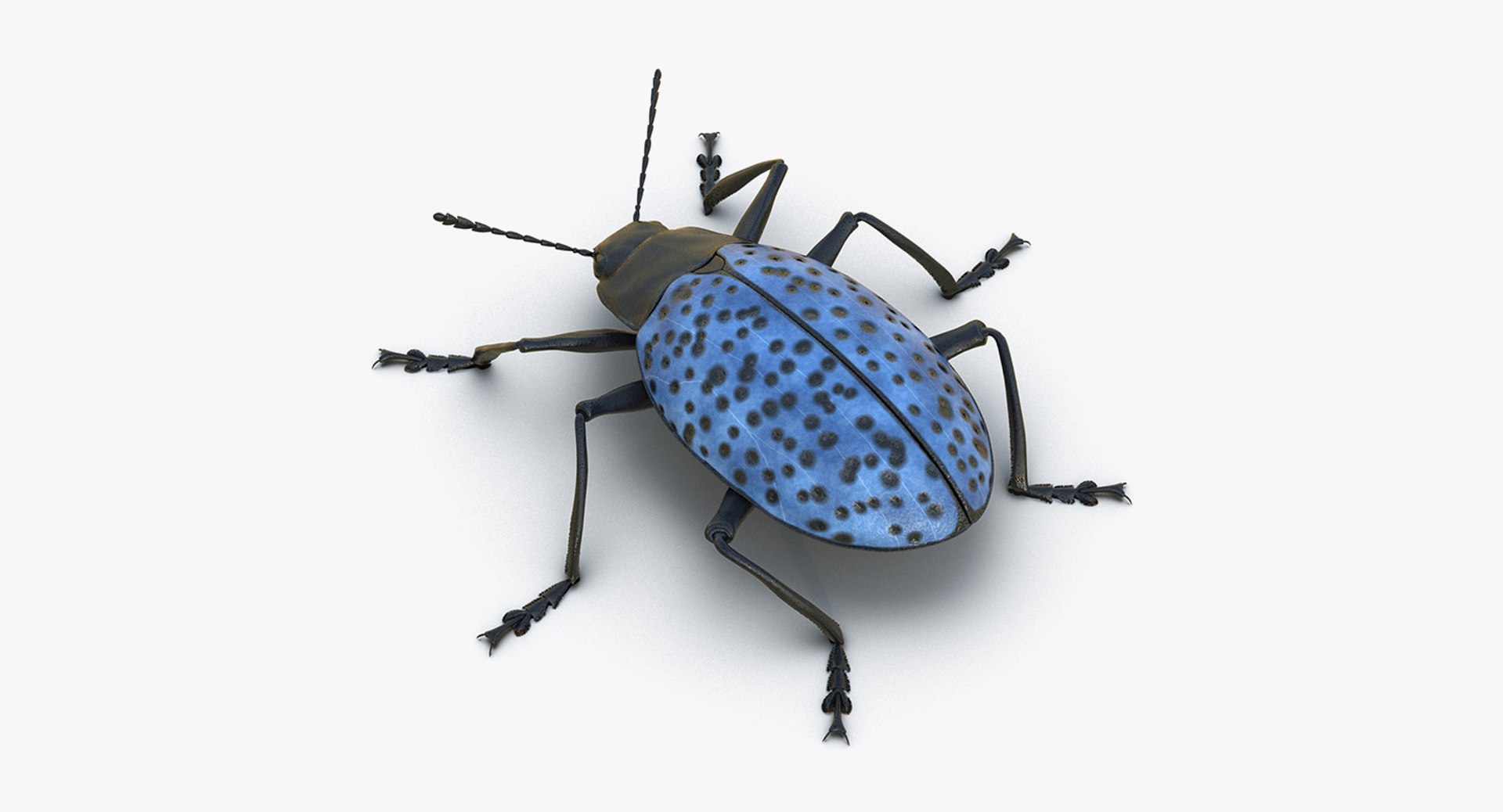 3D insects big 2 rigged model https://p.turbosquid.com/ts-thumb/Pu/dSCHdK/bzJxNV9e/insectsbigcollection2mb3dmodel143/jpg/1536592477/1920x1080/fit_q87/2d1d385b910bd8705b44e4d6a67bcb4e978a3150/insectsbigcollection2mb3dmodel143.jpg