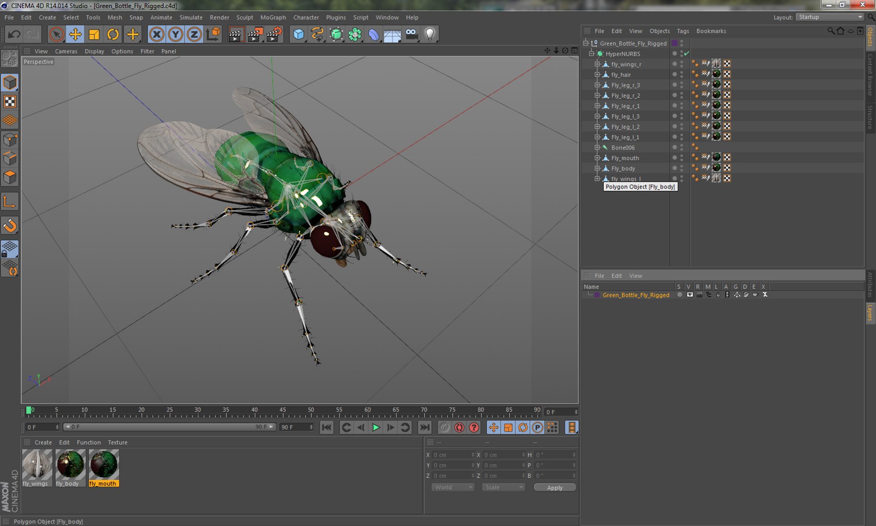 3D insects big 2 rigged model https://p.turbosquid.com/ts-thumb/Pu/dSCHdK/chCKIdLK/greenbottleflyriggedcinema4d3dmodel24/jpg/1583561438/1920x1080/fit_q87/b566c349dc1a4fc30b49740794f4f521397e72b4/greenbottleflyriggedcinema4d3dmodel24.jpg