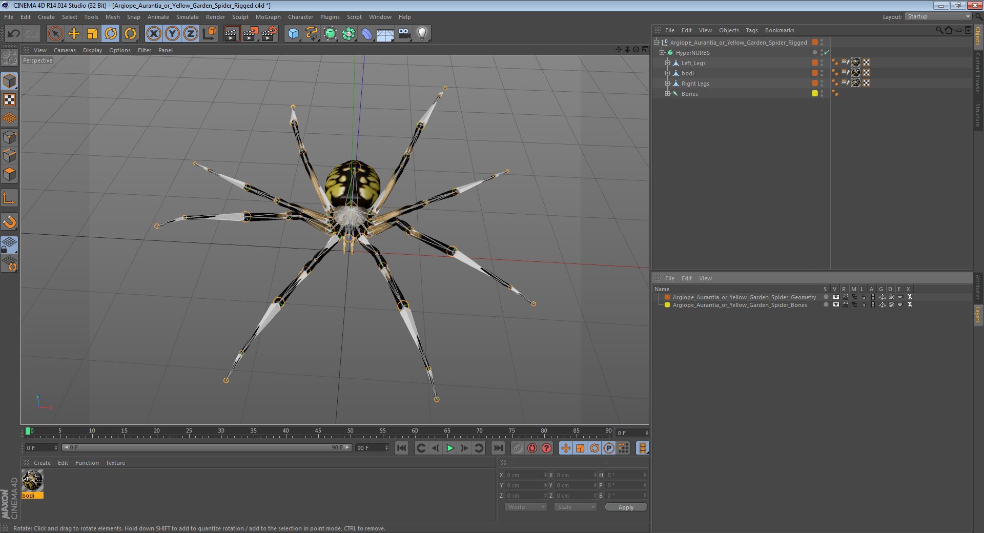 3D insects big 2 rigged model https://p.turbosquid.com/ts-thumb/Pu/dSCHdK/dWZiAXmQ/argiopeaurantiaoryellowgardenspiderriggedc4d3dmodel019/jpg/1583561437/1920x1080/fit_q87/e4c98e6e28a17679a056c6fe214288ad4de21832/argiopeaurantiaoryellowgardenspiderriggedc4d3dmodel019.jpg