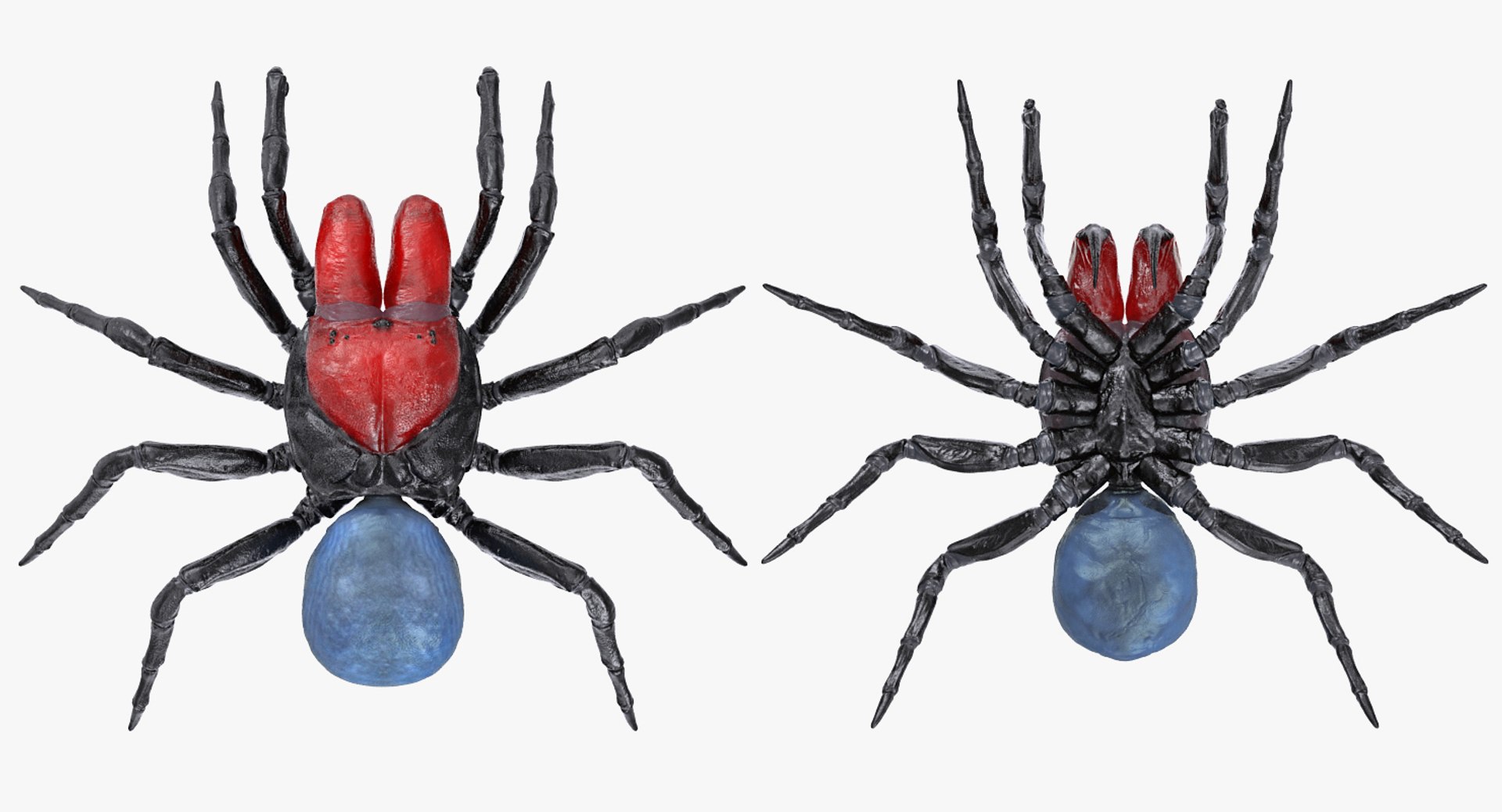 3D insects big 2 rigged model https://p.turbosquid.com/ts-thumb/Pu/dSCHdK/f55vUZEZ/insectsbigcollection2mb3dmodel084/jpg/1536592473/1920x1080/fit_q87/841538863951c56d9993913d79fe6a36c9c0b81d/insectsbigcollection2mb3dmodel084.jpg