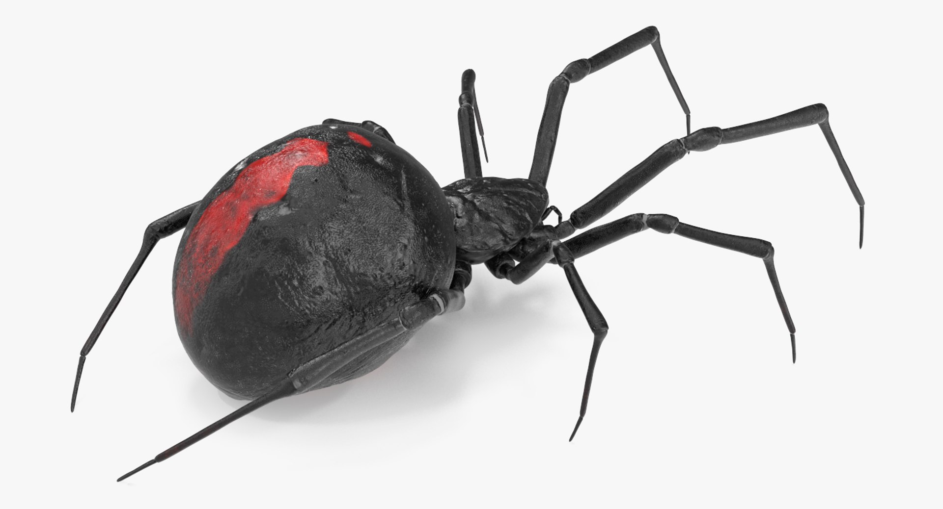3D insects big 2 rigged model https://p.turbosquid.com/ts-thumb/Pu/dSCHdK/fvUM61x6/insectsbigcollection2mb3dmodel088/jpg/1536592474/1920x1080/fit_q87/fa6c4e55b261bffc8e5f91f2ea359988b681e458/insectsbigcollection2mb3dmodel088.jpg