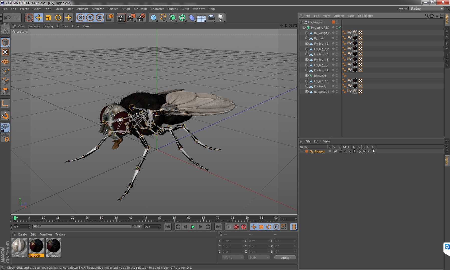 3D insects big 2 rigged model https://p.turbosquid.com/ts-thumb/Pu/dSCHdK/jXn5G4T6/flyriggedcinema4d3dmodel20/jpg/1583561438/1920x1080/fit_q87/ed8ee1ce228760acf2d13d96652d09745389385d/flyriggedcinema4d3dmodel20.jpg