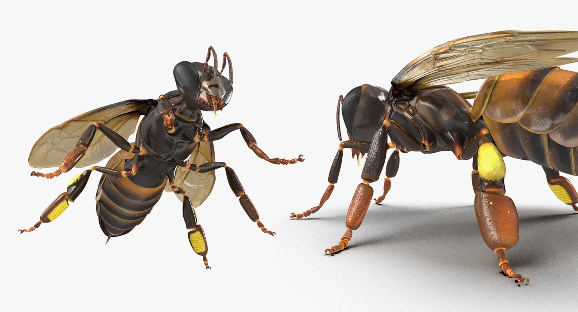 3D insects big 2 rigged model https://p.turbosquid.com/ts-thumb/Pu/dSCHdK/mzBe2ZwO/insectsbigcollection2mb3dmodel130/jpg/1536592476/1920x1080/fit_q87/ae9c28b4108666e9e689aa7c7c5f4bcdff2e1f53/insectsbigcollection2mb3dmodel130.jpg