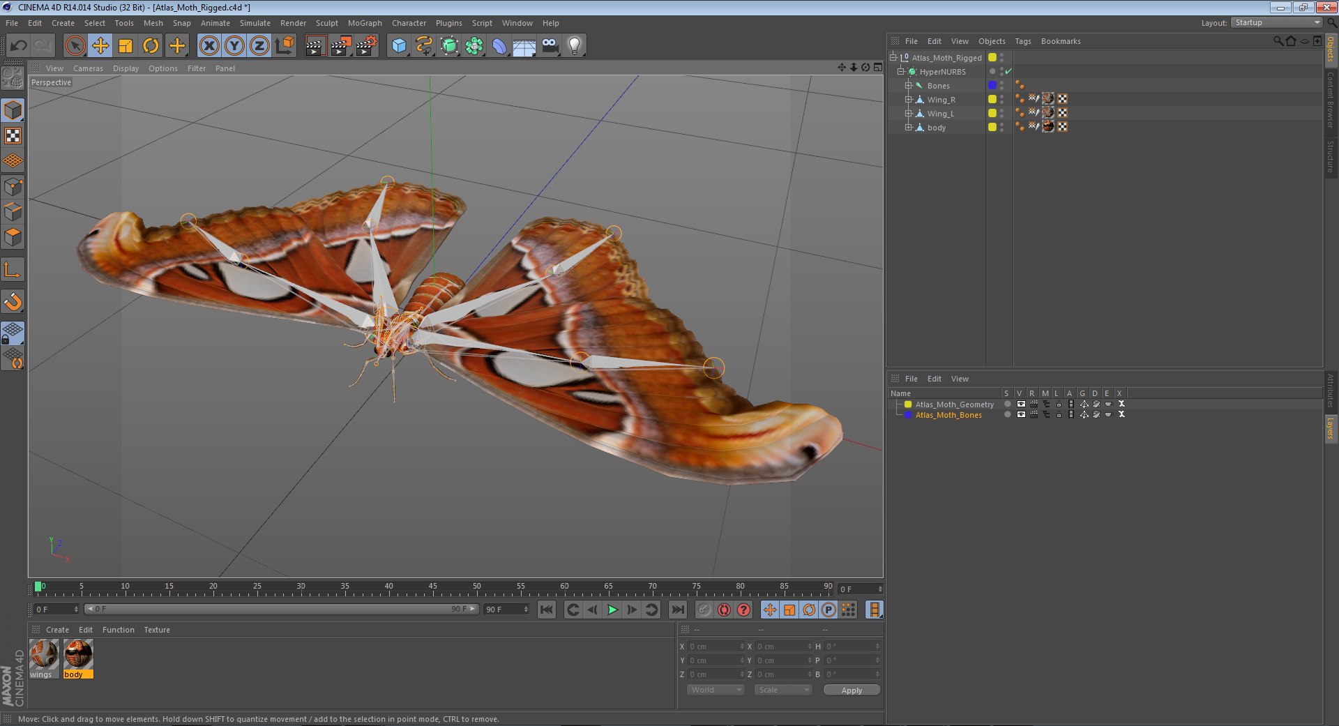 3D insects big 2 rigged model https://p.turbosquid.com/ts-thumb/Pu/dSCHdK/tG80g826/atlasmothriggedc4d3dmodel18/jpg/1583561437/1920x1080/fit_q87/fcdf0d8737c3a8c982a692cbe0b043f0dfb1c63e/atlasmothriggedc4d3dmodel18.jpg